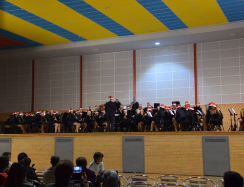 Galería: Concierto de Navidad de la Banda Municipal de Música y la Escuela Municipal de Música ‘Fidel Santana’