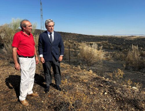 El consejero de Gestión Forestal y Medio Rural visita la zona afectada por el incendio en Campanario
